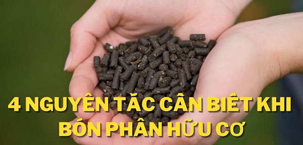 nguyen-tac-khi-bon-phan-huu-co-600x288.jpg