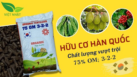 phan-huu-co-han-quoc-75OM-3-2-2